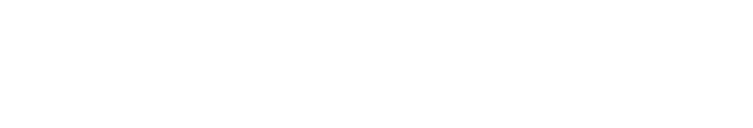 Spindles Logo-white2